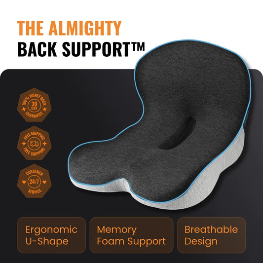 The Almighty Back Support™